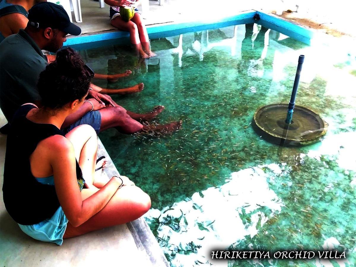 Hiriketiya Orchid Villa Dickwella Exterior foto